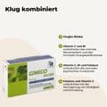 GINKGO 100 mg Kapseln+B1+C+E – Bild 8