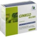 GINKGO 100 mg Kapseln+B1+C+E – Bild 2
