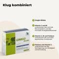 GINKGO 100 mg Kapseln+B1+C+E – Bild 4