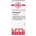 OKOUBAKA D 6 Globuli – Bild 1