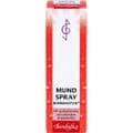 MUNDSPRAY – Bild 1