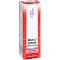 MUNDSPRAY – Bild 3