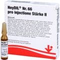 NEYDIL Nr.66 pro injectione St.2 Ampullen – Bild 3