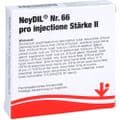 NEYDIL Nr.66 pro injectione St.2 Ampullen – Bild 2