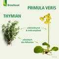 BRONCHICUM Elixir – Bild 10