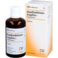 HAUTFUNKTIONSTROPFEN N Cosmochema – Bild 3