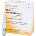 DISCUS compositum N mit Kalmia Ampullen – Bild 2