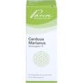 CARDUUS MARIANUS SIMILIAPLEX R Tropfen – Bild 1