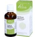 CARDUUS MARIANUS SIMILIAPLEX R Tropfen – Bild 3