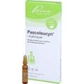 PASCOLEUCYN-Injektopas Ampullen – Bild 3