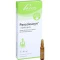 PASCOLEUCYN-Injektopas Ampullen – Bild 4