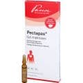 PECTAPAS CPL Injektopas Ampullen – Bild 4