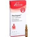 PECTAPAS CPL Injektopas Ampullen – Bild 5
