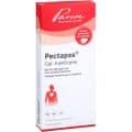 PECTAPAS CPL Injektopas Ampullen – Bild 3