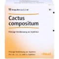 CACTUS COMPOSITUM Ampullen – Bild 1
