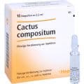 CACTUS COMPOSITUM Ampullen – Bild 4