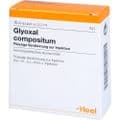 GLYOXAL compositum Ampullen – Bild 3