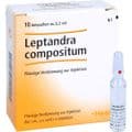 LEPTANDRA COMPOSITUM Ampullen – Bild 5