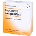 LEPTANDRA COMPOSITUM Ampullen – Bild 3