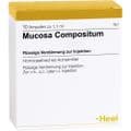 MUCOSA compositum Ampullen – Bild 2