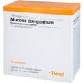 MUCOSA compositum Ampullen – Bild 3