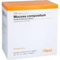 MUCOSA compositum Ampullen – Bild 2