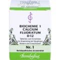 BIOCHEMIE 1 Calcium fluoratum D 12 Tabletten – Bild 1
