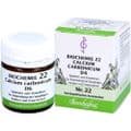 BIOCHEMIE 22 Calcium carbonicum D 6 Tabletten – Bild 3