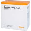 SOLIDAGO COMP.Heel Ampullen – Bild 3