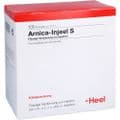 ARNICA INJEEL S Ampullen – Bild 2