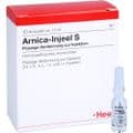 ARNICA INJEEL S Ampullen – Bild 5