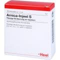 ARNICA INJEEL S Ampullen – Bild 3