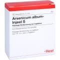 ARSENICUM ALBUM INJEEL S Ampullen – Bild 1
