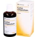CACTUS COMPOSITUM S Liquidum – Bild 2