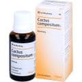 CACTUS COMPOSITUM S Liquidum – Bild 3