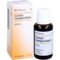 CACTUS COMPOSITUM S Liquidum – Bild 4