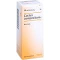 CACTUS COMPOSITUM S Liquidum – Bild 2