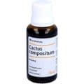 CACTUS COMPOSITUM S Liquidum – Bild 5