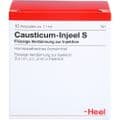 CAUSTICUM INJEEL S Ampullen – Bild 1
