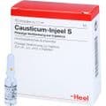 CAUSTICUM INJEEL S Ampullen – Bild 4