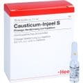 CAUSTICUM INJEEL S Ampullen – Bild 5