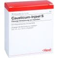 CAUSTICUM INJEEL S Ampullen – Bild 2