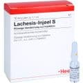 LACHESIS INJEEL S Ampullen – Bild 5