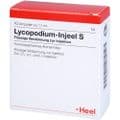 LYCOPODIUM INJEEL S Ampullen – Bild 3