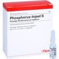 PHOSPHORUS INJEEL S Ampullen – Bild 5