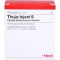 THUJA INJEEL S Ampullen – Bild 1