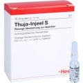 THUJA INJEEL S Ampullen – Bild 5