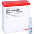 SULFUR INJEEL S Ampullen – Bild 5