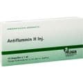 ANTIFLAMMIN H Inj.Ampullen – Bild 2