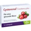 CYSTORENAL Cranberry plus Kapseln – Bild 2